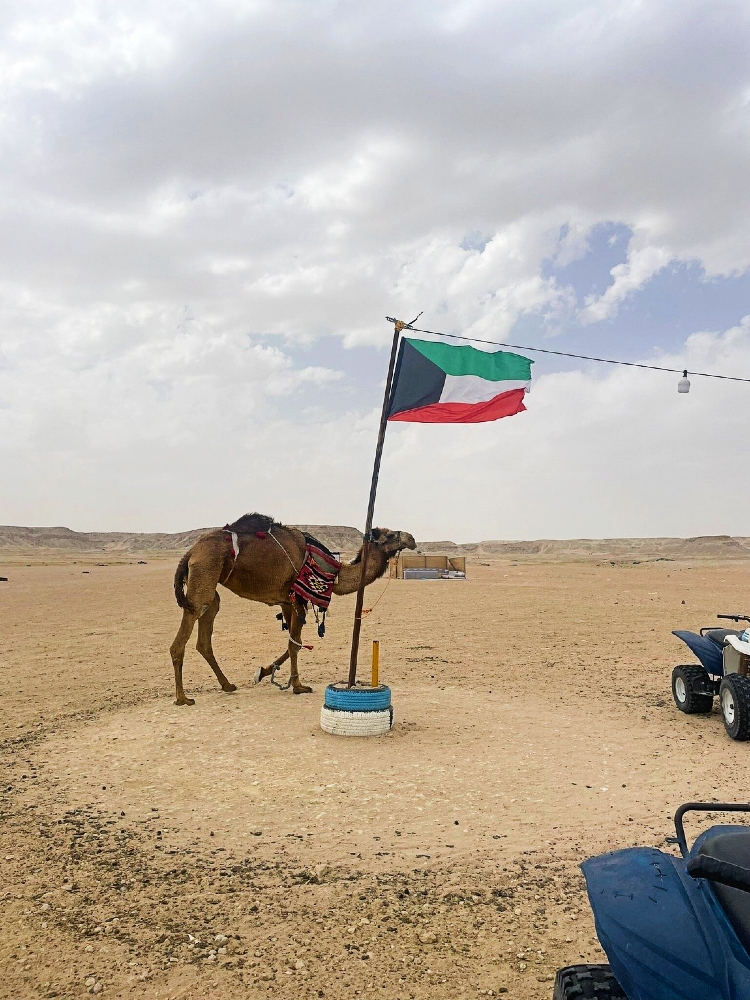 Kuwait Half Day City & Desert Licensed Tour Guide Pickup&Dropoff - Image - 1644
